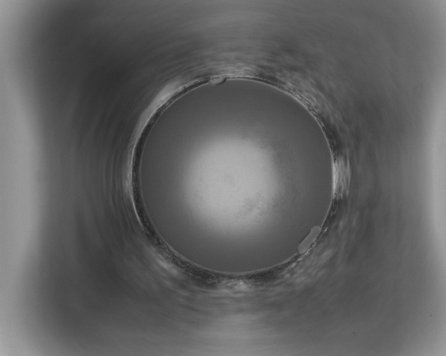 X0000113070195200908281201