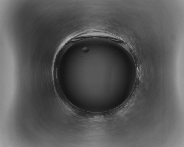 X0000113070196200908281201