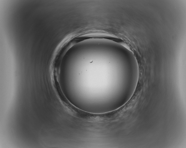 X0000113070197200908281201