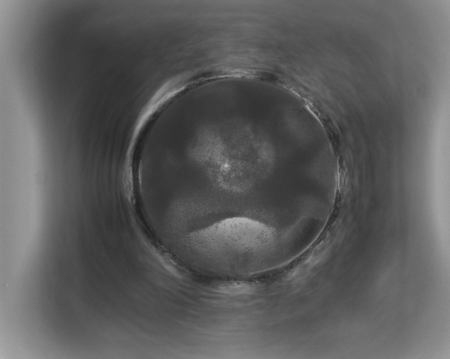 X0000113070198200908281201