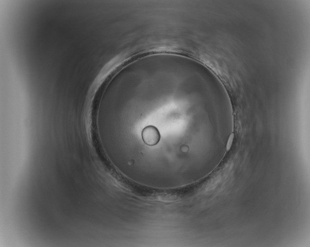 X0000113070199200908281201