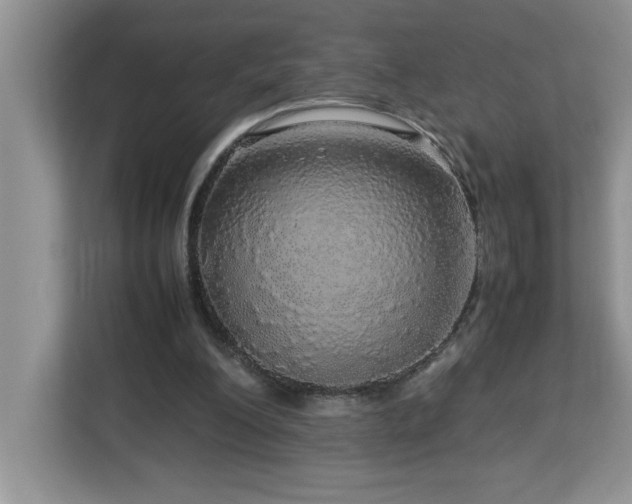 X0000113070200200908281201