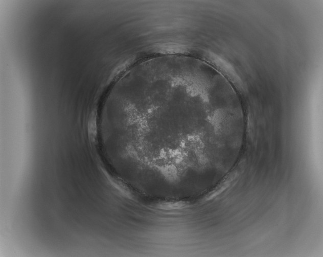 X0000113070202200908281201