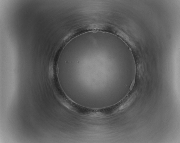 X0000113070203200908281201