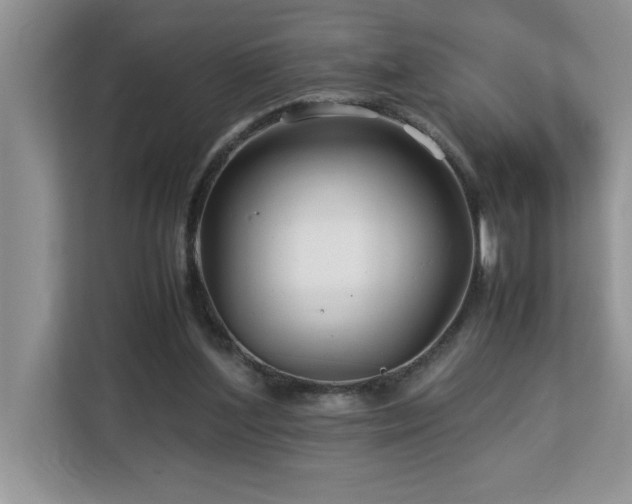 X0000113070204200908281201