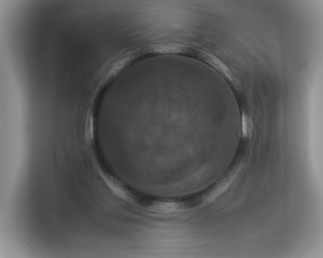 X0000113070205200908281201