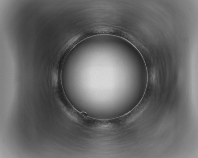 X0000113070206200908281201