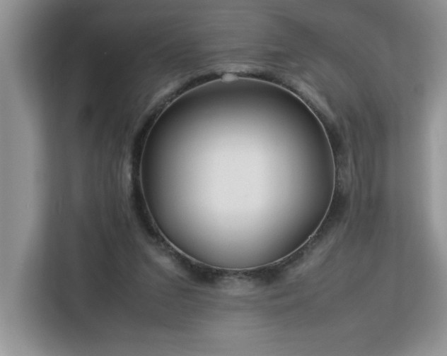 X0000113070207200908281201