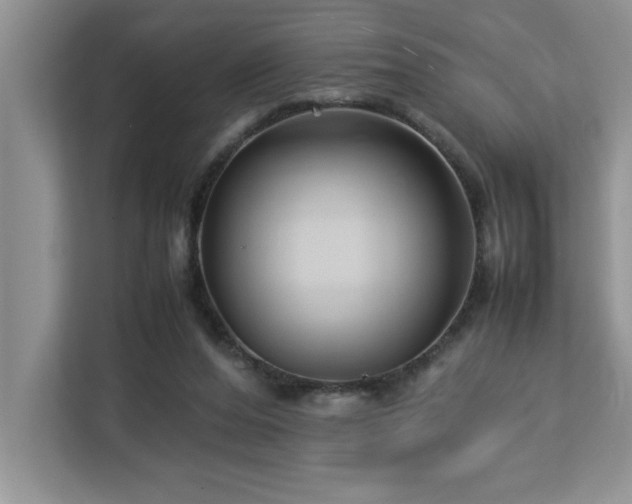 X0000113070208200908281201