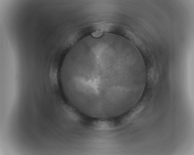 X0000113070209200908281201