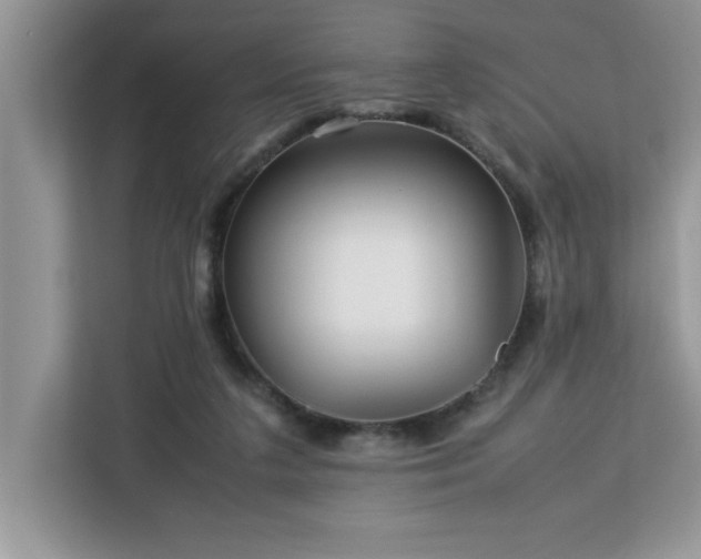 X0000113070211200908281201