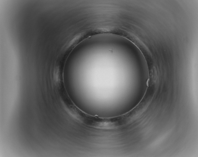 X0000113070212200908281201