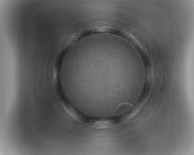 X0000113070213200908281201