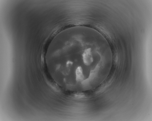 X0000113070214200908281201