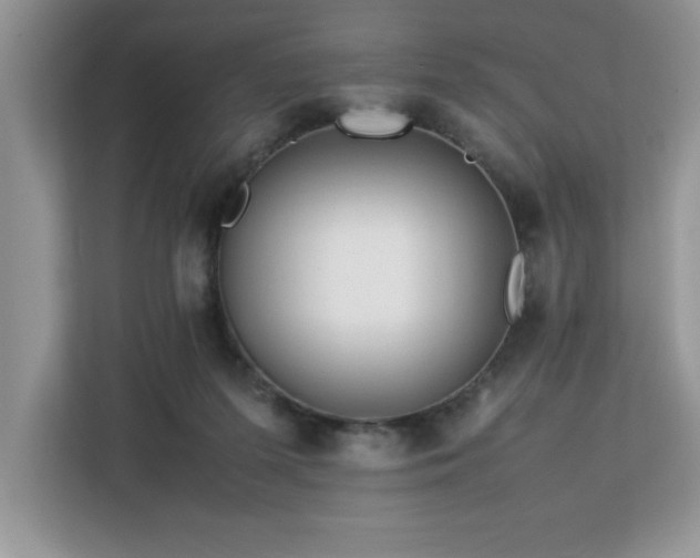 X0000113070215200908281201