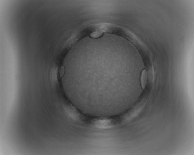 X0000113070217200908281201