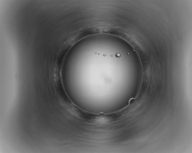 X0000113070218200908281201