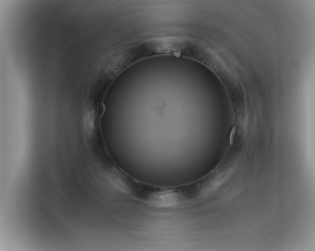 X0000113070219200908281201