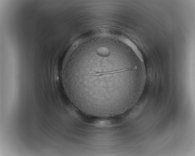 X0000113070220200908281201