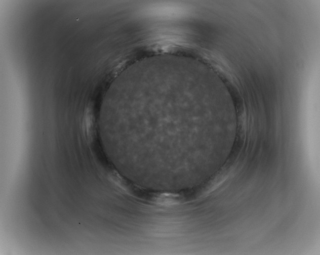 X0000113070222200908281201