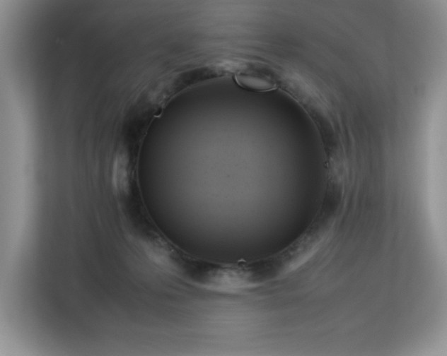 X0000113070223200908281201