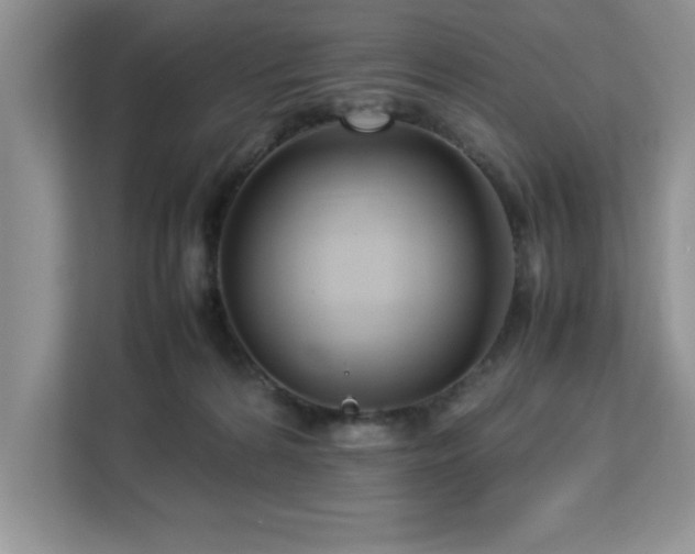 X0000113070224200908281201