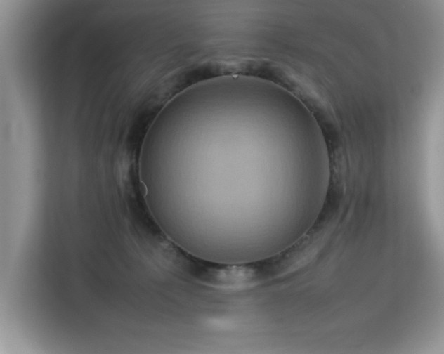 X0000113070225200908281201