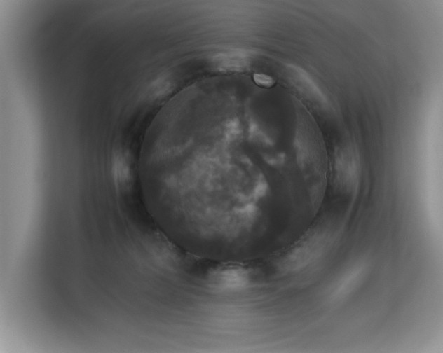 X0000113070228200908281201