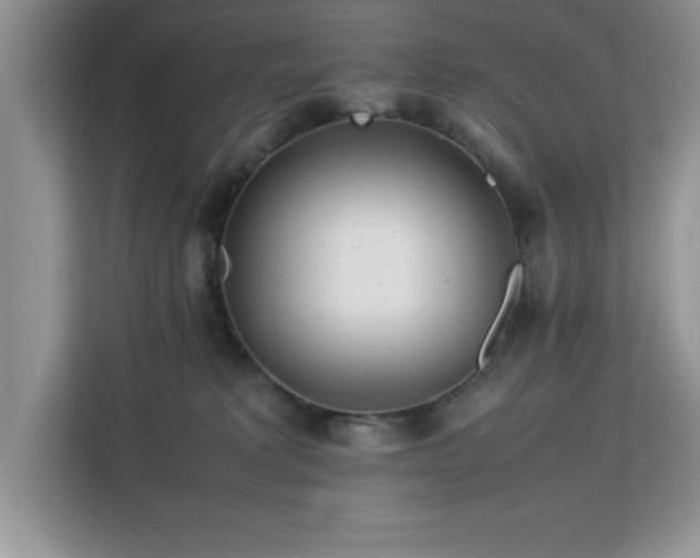 X0000113070229200908281201