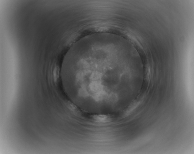 X0000113070230200908281201