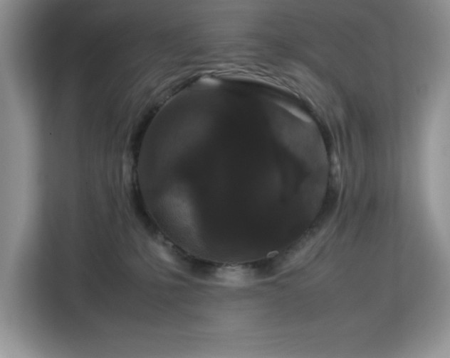 X0000113070231200908281200