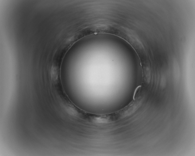 X0000113070232200908281200