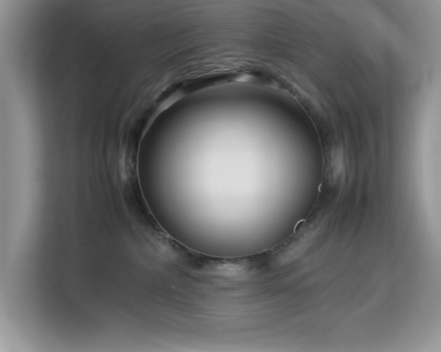 X0000113070236200908281200