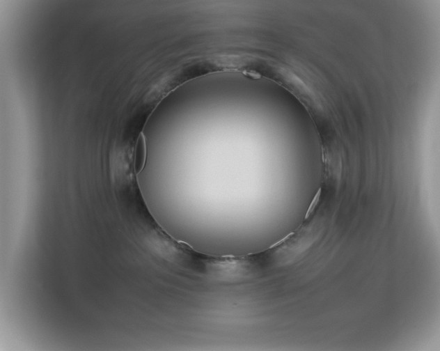 X0000113070237200908281200