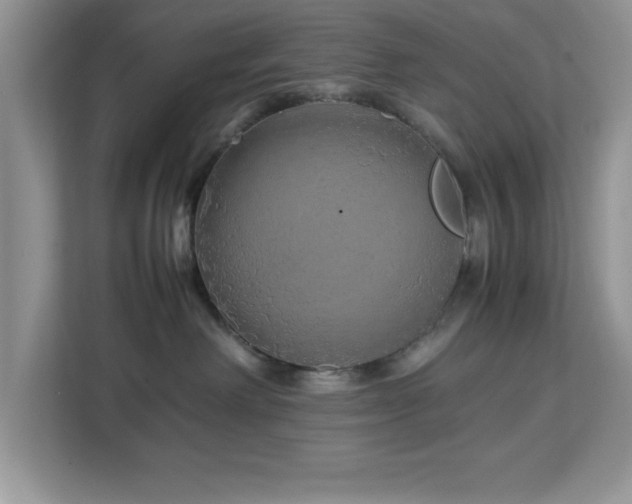 X0000113070238200908281200