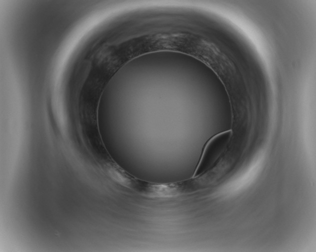 X0000113070239200908281200