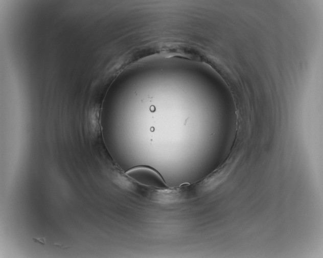 X0000113070240200908281200