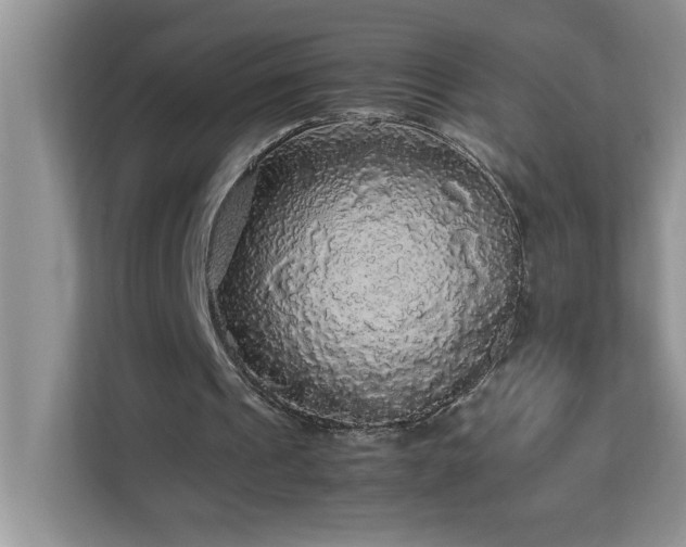 X0000113070241200908281200