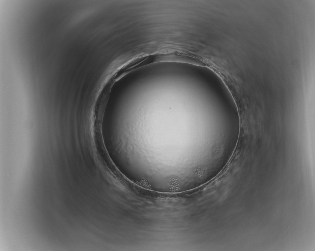 X0000113070242200908281200