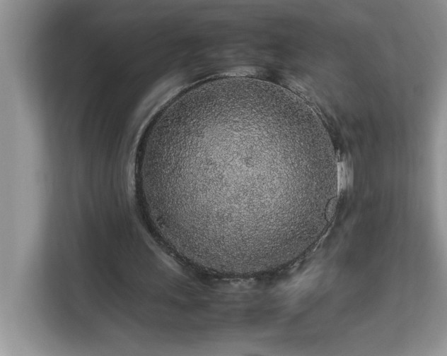 X0000113070243200908281200