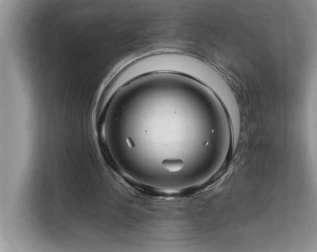X0000113070244200908281200