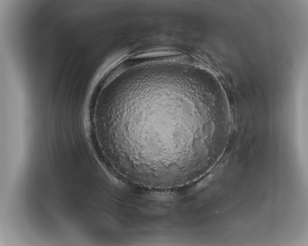 X0000113070245200908281200