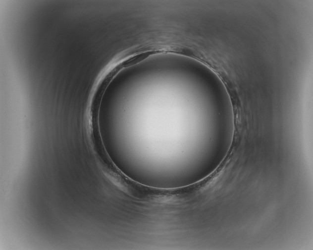 X0000113070246200908281200