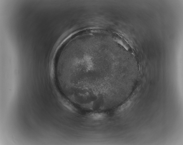 X0000113070247200908281200