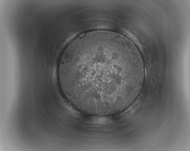 X0000113070249200908281200