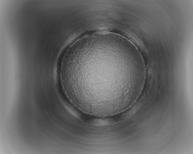 X0000113070250200908281200