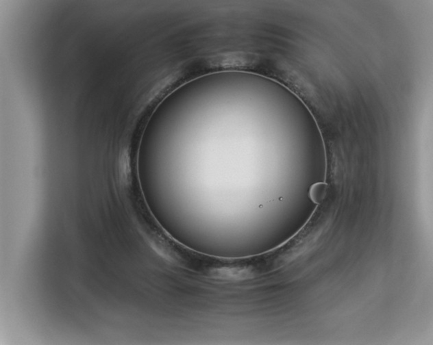 X0000113070251200908281200
