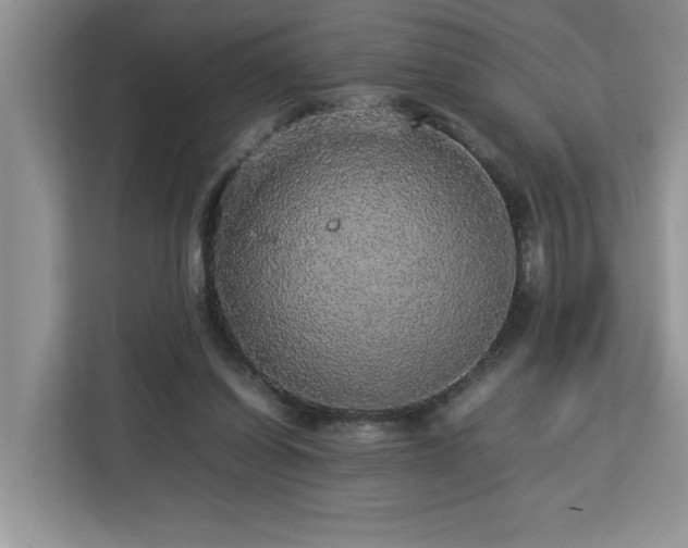 X0000113070254200908281200