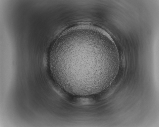 X0000113070255200908281200