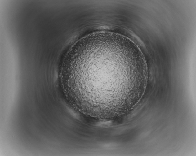 X0000113070257200908281200